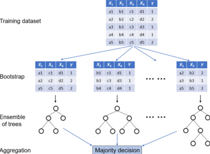 Random Forest Classifier